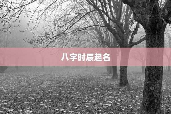 八字时辰起名