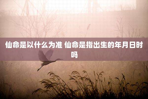仙命是以什么为准 仙命是指出生的年月日时吗