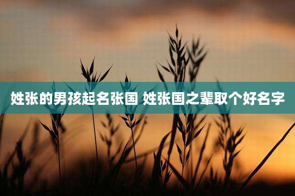 姓张的男孩起名张国 姓张国之辈取个好名字