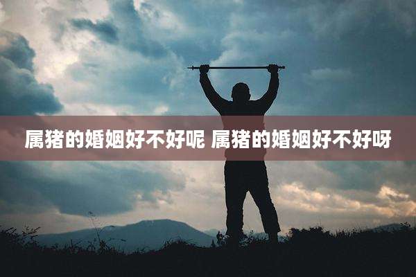 属猪的婚姻好不好呢 属猪的婚姻好不好呀