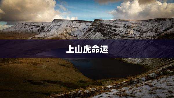 上山虎命运
