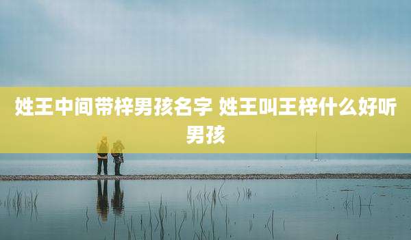 姓王中间带梓男孩名字 姓王叫王梓什么好听男孩