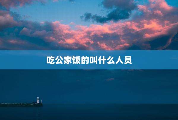 吃公家饭的叫什么人员