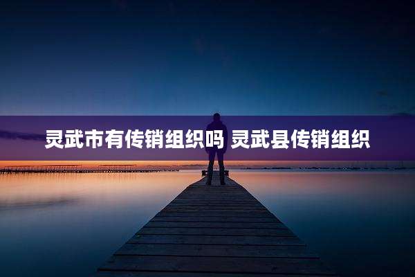 灵武市有传销组织吗 灵武县传销组织