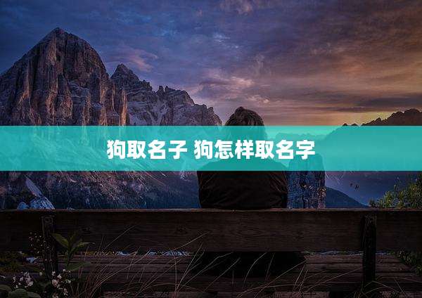 狗取名子 狗怎样取名字