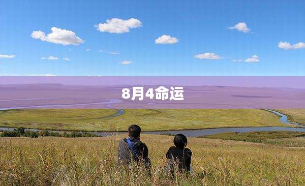 8月4命运