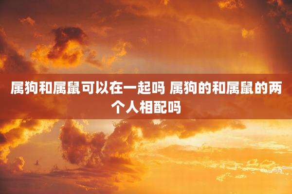 属狗和属鼠可以在一起吗 属狗的和属鼠的两个人相配吗