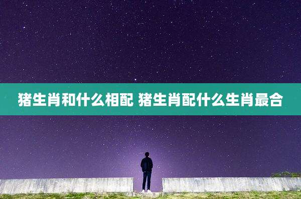 猪生肖和什么相配 猪生肖配什么生肖最合