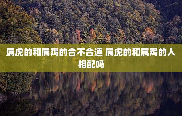 属虎的和属鸡的合不合适 属虎的和属鸡的人相配吗