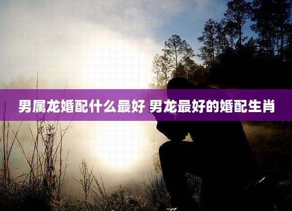 男属龙婚配什么最好 男龙最好的婚配生肖