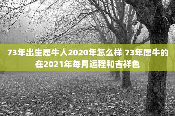 73年出生属牛人2020年怎么样 73年属牛的在2021年每月运程和吉祥色