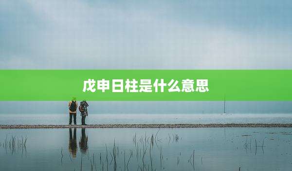 戊申日柱是什么意思