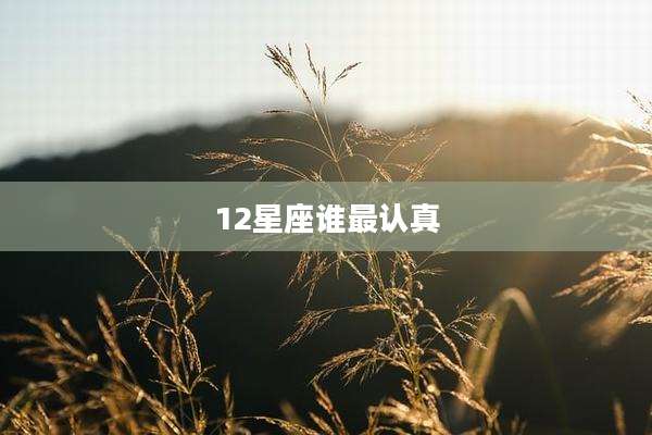 12星座谁最认真
