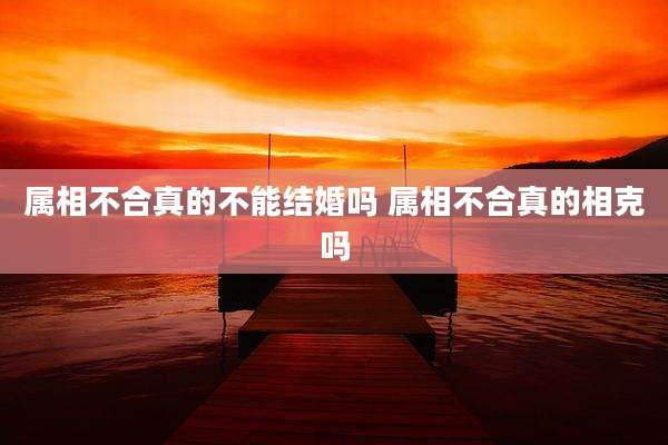 属相不合真的不能结婚吗 属相不合真的相克吗