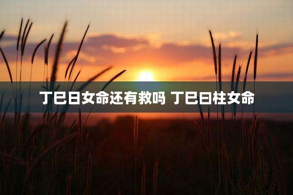 丁巳日女命还有救吗 丁巳曰柱女命