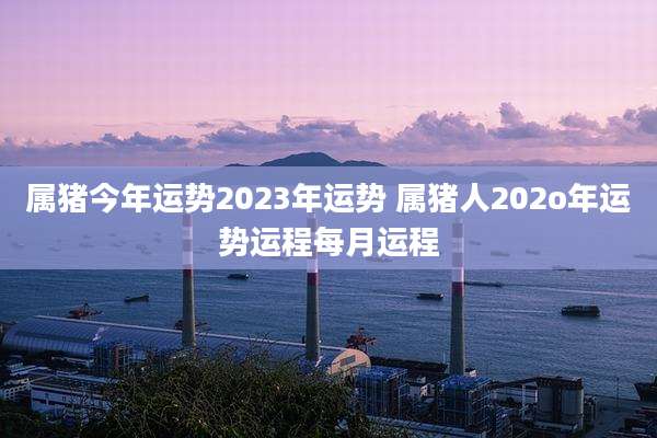 属猪今年运势2023年运势 属猪人202o年运势运程每月运程