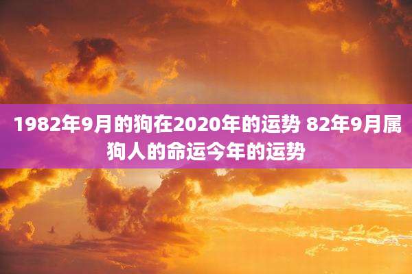 1982年9月的狗在2020年的运势 82年9月属狗人的命运今年的运势