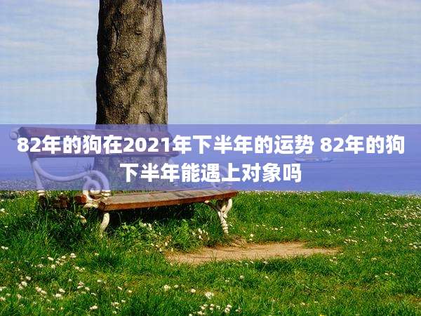 82年的狗在2021年下半年的运势 82年的狗下半年能遇上对象吗