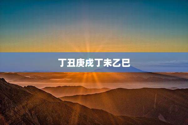 丁丑庚戌丁未乙巳