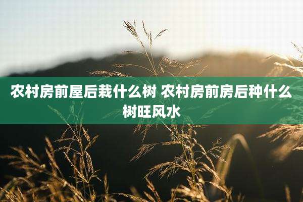 农村房前屋后栽什么树 农村房前房后种什么树旺风水