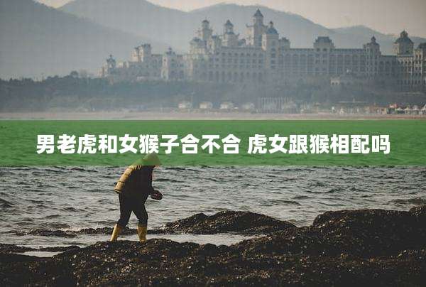 男老虎和女猴子合不合 虎女跟猴相配吗