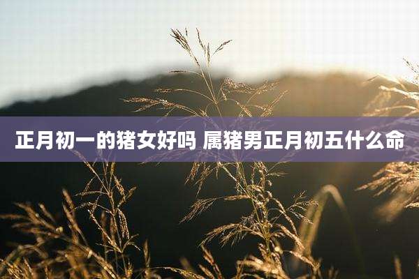 正月初一的猪女好吗 属猪男正月初五什么命