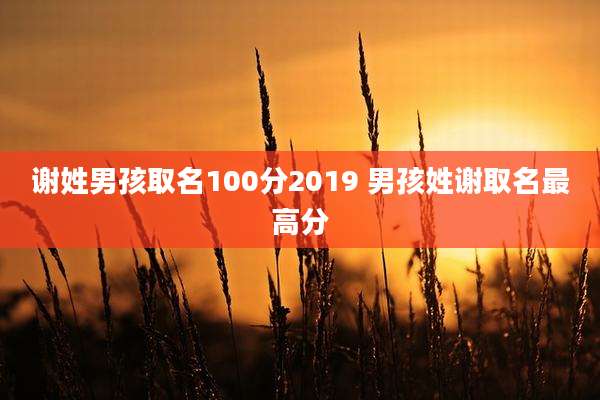 谢姓男孩取名100分2019 男孩姓谢取名最高分