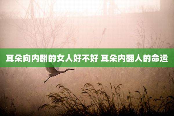 耳朵向内翻的女人好不好 耳朵内翻人的命运