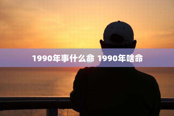 1990年事什么命 1990年啥命