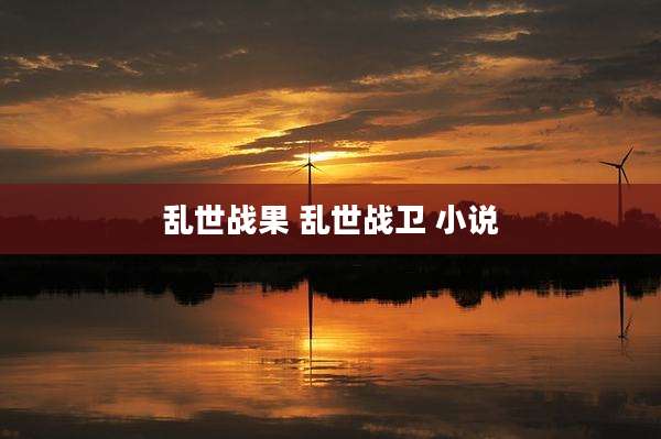 乱世战果 乱世战卫 小说
