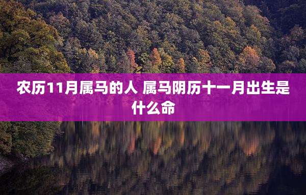 农历11月属马的人 属马阴历十一月出生是什么命