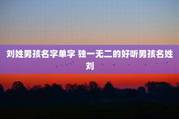 刘姓男孩名字单字 独一无二的好听男孩名姓刘