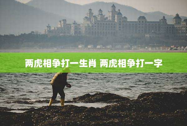 两虎相争打一生肖 两虎相争打一字