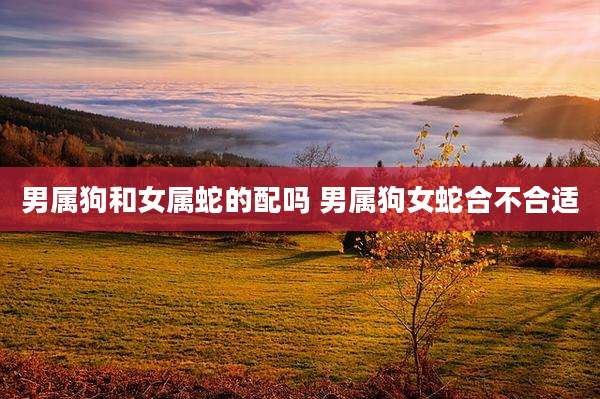 男属狗和女属蛇的配吗 男属狗女蛇合不合适