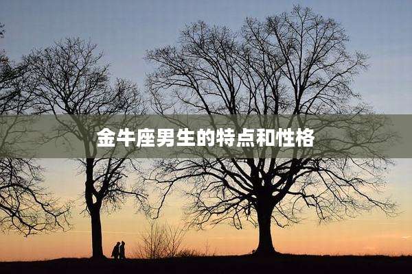 金牛座男生的特点和性格