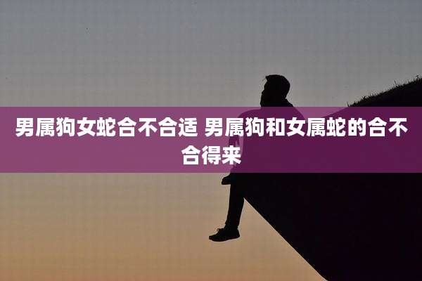 男属狗女蛇合不合适 男属狗和女属蛇的合不合得来
