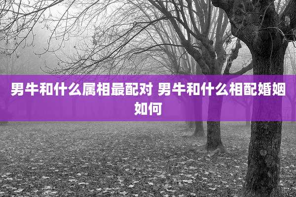 男牛和什么属相最配对 男牛和什么相配婚姻如何