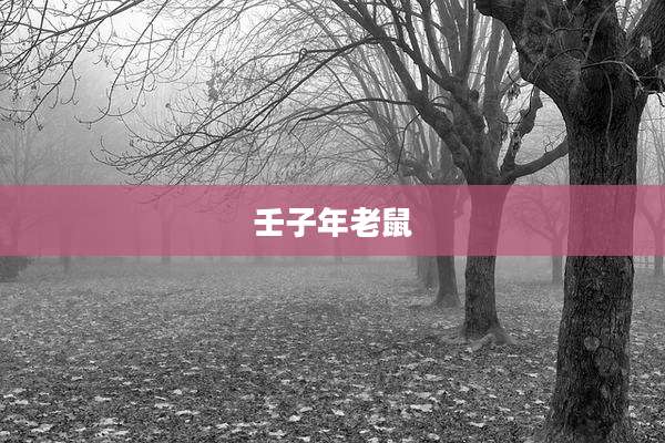 壬子年老鼠