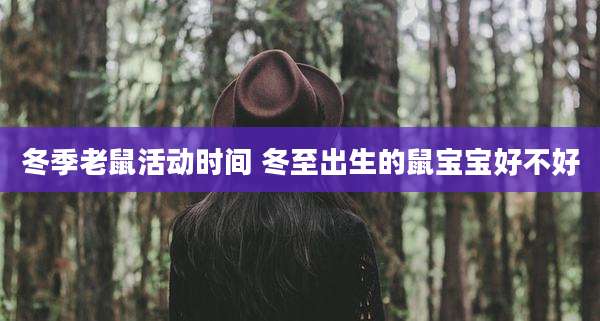 冬季老鼠活动时间 冬至出生的鼠宝宝好不好
