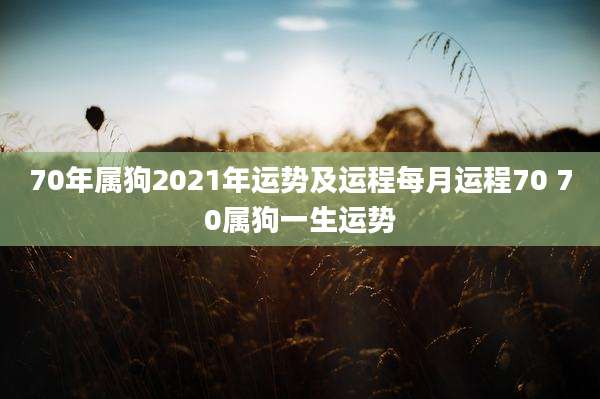 70年属狗2021年运势及运程每月运程70 70属狗一生运势