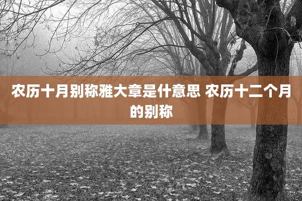 农历十月别称雅大章是什意思 农历十二个月的别称