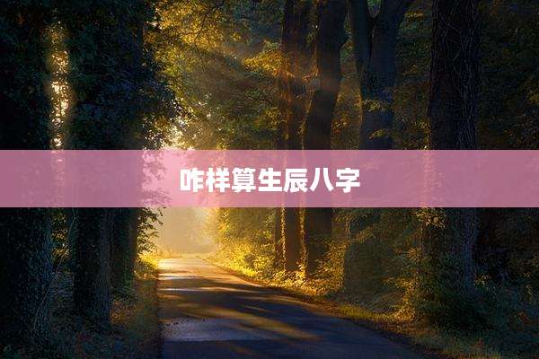 咋样算生辰八字