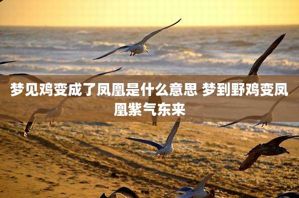 梦见鸡变成了凤凰是什么意思 梦到野鸡变凤凰紫气东来