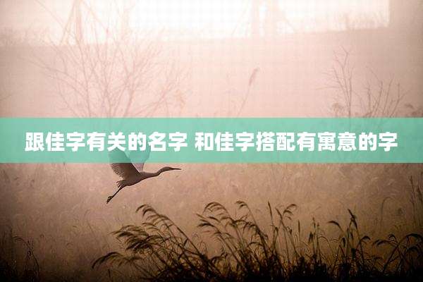 跟佳字有关的名字 和佳字搭配有寓意的字