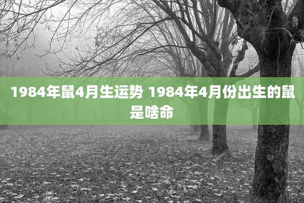 1984年鼠4月生运势 1984年4月份出生的鼠是啥命
