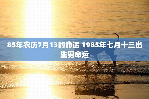 85年农历7月13的命运 1985年七月十三出生男命运