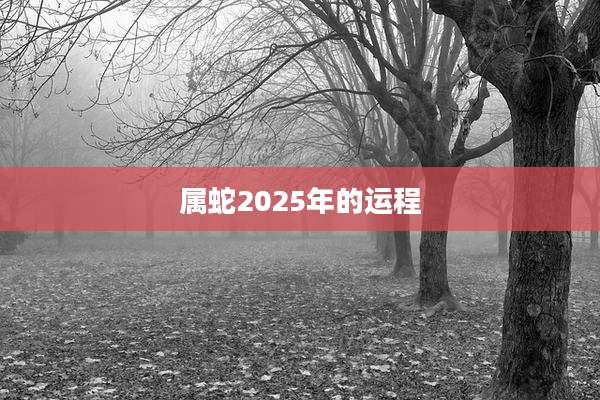 属蛇2025年的运程
