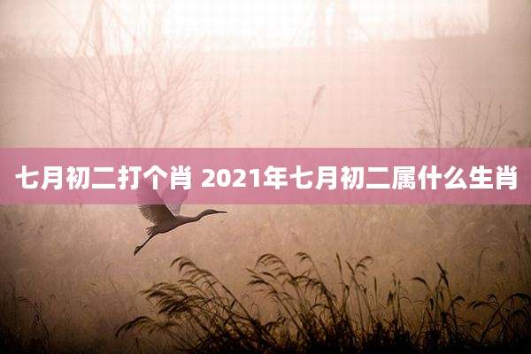 七月初二打个肖 2021年七月初二属什么生肖