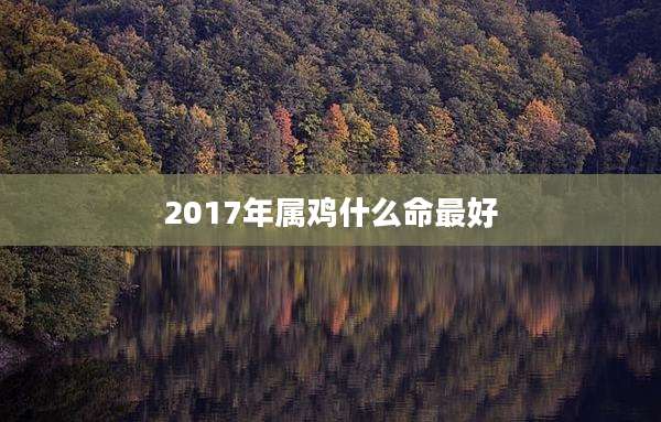 2017年属鸡什么命最好