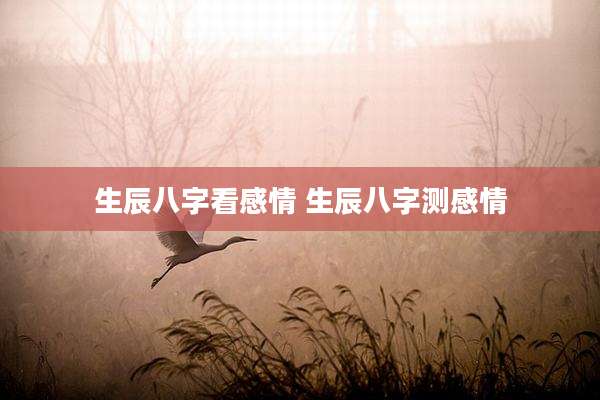 生辰八字看感情 生辰八字测感情